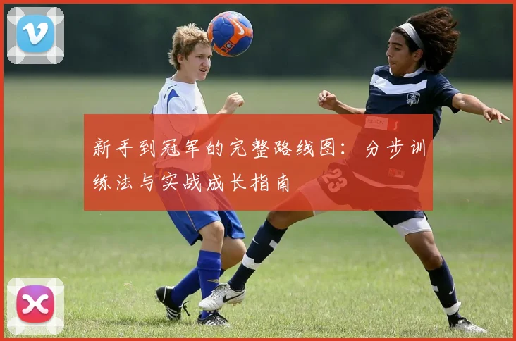 新手到冠军的完整路线图:分步训练法与实战成长指南